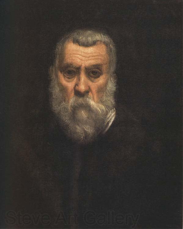 Jacopo Tintoretto Self-Portrait Norge oil painting art